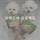 도근 | [강아지알러지간식] 알러지 걱정없는 오래오래프로젝트 낙타 식도근스틱 &amp; 울대링
