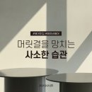 에이바헤어 금천시흥점