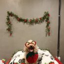 우리집첫째 이미지