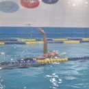 아이엠 키즈 스윔스쿨 이미지