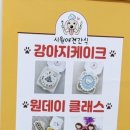 시원애견간식 이미지