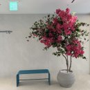 심학산로(1) 네이버블로그