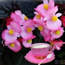 [정보] 남성의 건강 장수를 위한 15계명 이미지