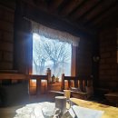 흙과나무 이미지