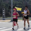 예산 벚꽃 전국 마라톤 대회참가 이미지