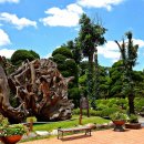 강풍경 파크 이미지