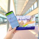 글로벌패스(Global Pass)