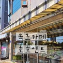 앤트카페 | 강원도속초여행 호호앤트 카페 에스프레소바 후기!