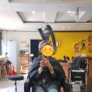 제시헤어(Jessi Hair) | 속초미용실 추천 청학동 비헤어(BEE HAIR) 세심한 상담으로 만족스러운 펌 시술후기