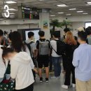 바글바글제주 이미지