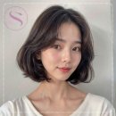 스테리헤어 네이버블로그