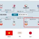 베트남 축구,베트남 : 일본, 아시안컵 8강 이미지