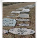 유니스의정원 이미지