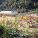좌구산민박 이미지