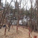 우장산둘레길 이미지