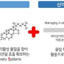 알엔디 이미지