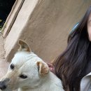 긴물스테이 이미지