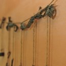 부석사 아래 단풍길 펜션 이미지