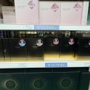 닥터베이직랩 | 군마트화장품 스킨케어 제품 가격 총정리 클렌저부터 토너 에센스 크림까지