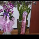 연세대꿈나무태권도장 이미지