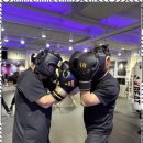 세븐복싱 이미지