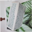 시원약국 이미지