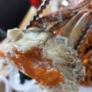 연평도 목포 산꽃게 | 마장동맛집 연평도목포산꽃게 방문후기