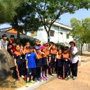 대봉초등학교 이미지