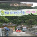 산채건강마을 이미지