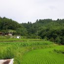 남해-185 이미지