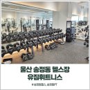 울산 송정동 헬스장, 유짐휘트니스 북구 송정 오픈 방문후기
