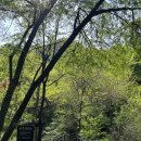 안산자락길 | 서울 서대문 안산자락길 등산코스 가본 후기와 가는방법! 난이도는 어떨까?