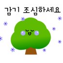 세종환경