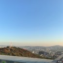 서울마피아