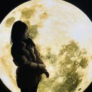 별빛공원 배드민턴장