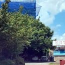 사덕신장로 이미지