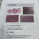 번영사 | [울산 왁싱샵 프롬더하트] 브라질리언 왁싱 후기 울산 삼산 From the heart