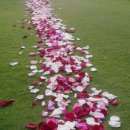 소원공인중개사사무소 이미지