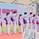 용인대코리아태권도 이미지