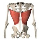 휘트니스 에스온 이미지