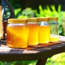 꿀 수확량이 적은 13가지 이유 및 개선 방법 이미지