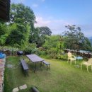 은혜의 뜨락 이미지