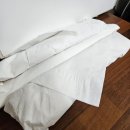 반성시장 | [노량진수산시장] 성전물산 광어,벤자리 당일택배 후기
