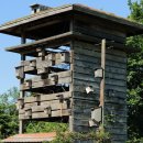 금강디지탈보청기 이미지