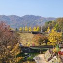이천시 인공암벽등반장 | 이천 단풍명소인 설봉공원에서 가을을 느껴보아요(2025년 11월 7일 금요일 단풍현황)