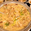 황금오리 이미지