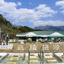 영산약품 이미지