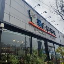 연일꽃화원 | 포항화분 꽃을든남자 포항연일꽃집 꽃 종류가 정말 다양한 후기