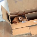 미우농장 이미지