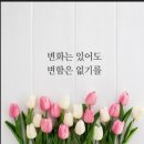 어은돌힐링야영장